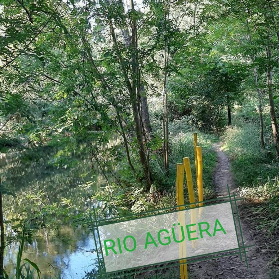 Apartamento Rio Agueera En Guriezo, Next To Castro Urdiales Y Bilbao Adino Exteriér fotografie